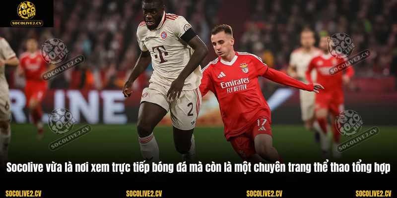 Socolive vừa là nơi xem trực tiếp bóng đá mà còn là một chuyên trang thể thao tổng hợp